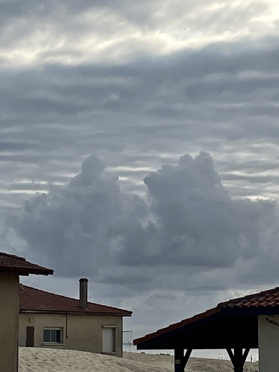 MirkoStock's tweet photo. Looks like rain…not sure….don’t remember how rain looks like… https://t.co/fuad12ujlr