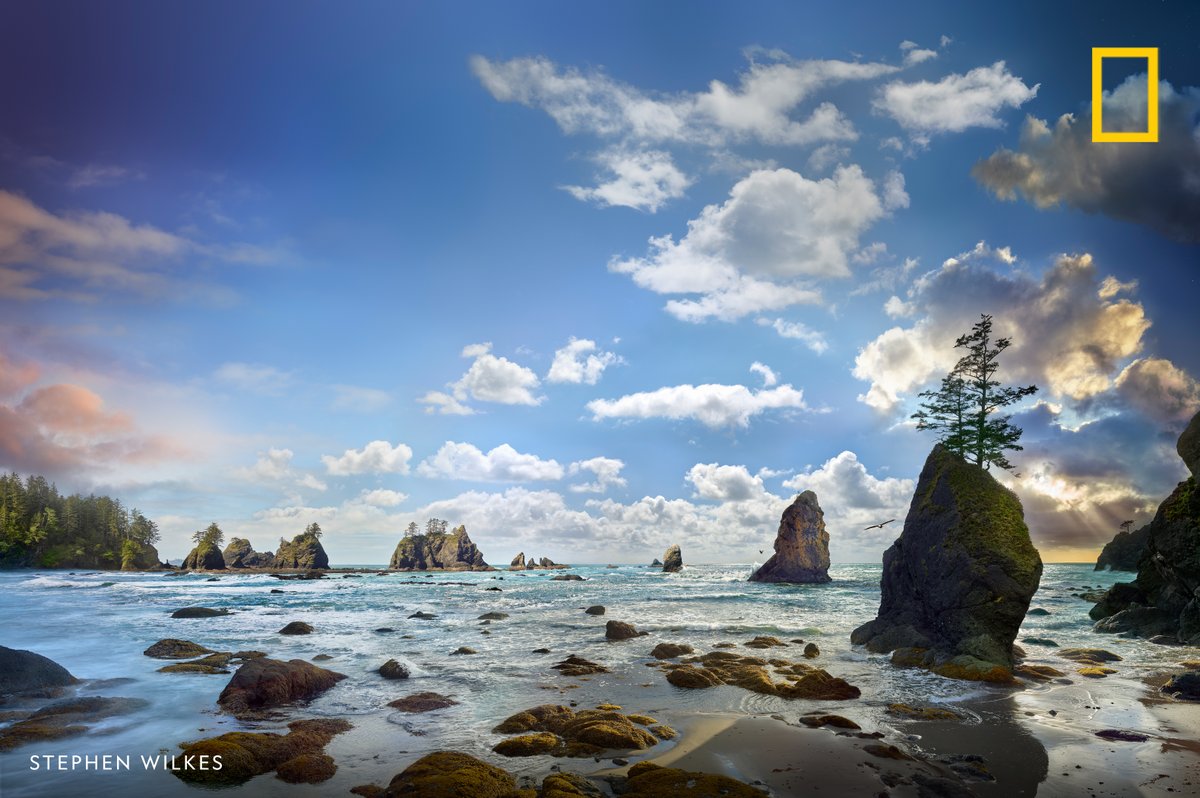 On the latest episode of #OverheardNatGeo, learn how innovation and Indigenous knowledge could change the ways we protect America’s natural resources on.natgeo.com/3ST6FM7