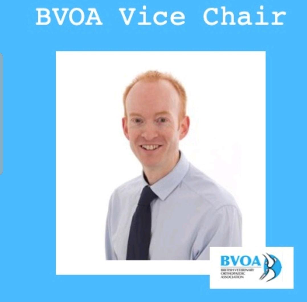 TheBVOA's tweet photo. Meet Andy Moores #BVOA vice chair👋
Carrer spanning #generalpractice , #surgicalresidency @BristolUni to gain #RCVS and #ECVS diplomas #lecturer @RoyalVetCollege then private referral practice since. #published widely, taught, #examiner and started BVOA's googlediscussion group https://t.co/kAM948evIu