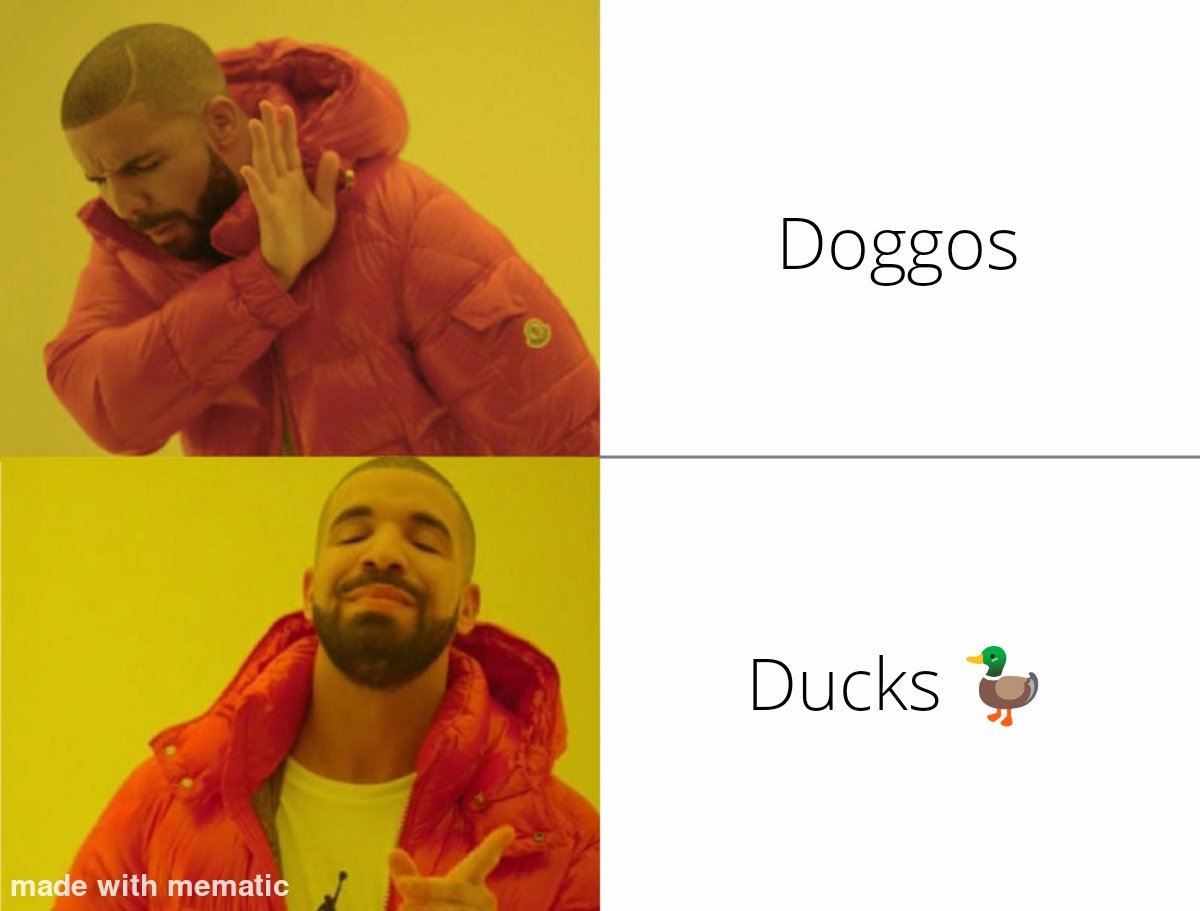 racoonloves's tweet photo. @duckereum duckereum Slaps
@fonship
@ViniMute
@_NicoleJ

#InLoveWithDucker #memecome
#duckereum #ducker https://t.co/RNEJfPNgps