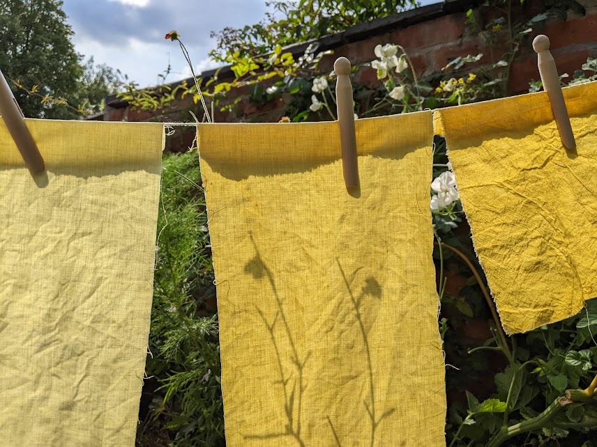 laurajpottinger's tweet photo. Tansy - foraged from the Fallowfield Loop, topped up with flowers from Debdale heritage dye garden. Makes a sunny yellow 💛
#MakingSlowColour #naturaldye #plantdyes
#naturaldyeing #dyegarden https://t.co/sjfB1742F0