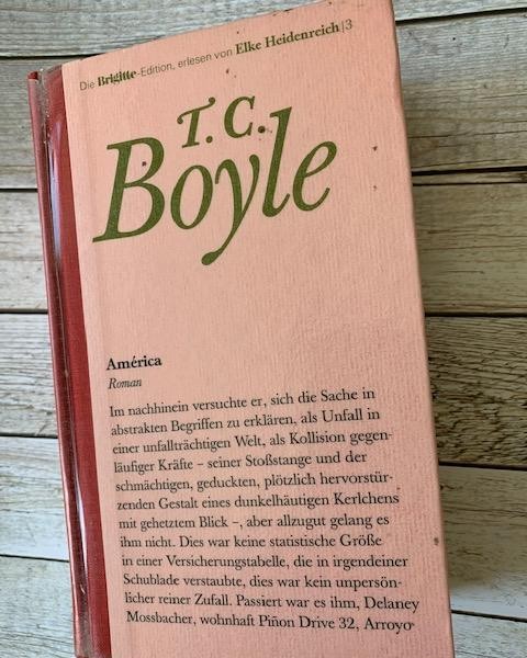 📙 ROMAN: AMÉRICA  
Im Roman geht es um ein reiches Paar in Kalifornien und ein illegal eingereistes Paar aus Mexiko. 
Die einen leben in Saus und Braus, immer auf Karriere aus. Die anderen müssen sich durchschlagen.

Lesenswert👍