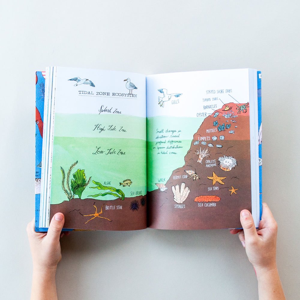 aqualuvsuotd's tweet photo. ☆ marine bio book recommendation !

for our first marine bio book rec, i’d like to suggest ocean anatomy by julia rothman ! i think it’s a great introductory book if you want to get into marine bio but don’t know where to start. it’s a wonderful mix between art and information ! https://t.co/e3omK5QqJB