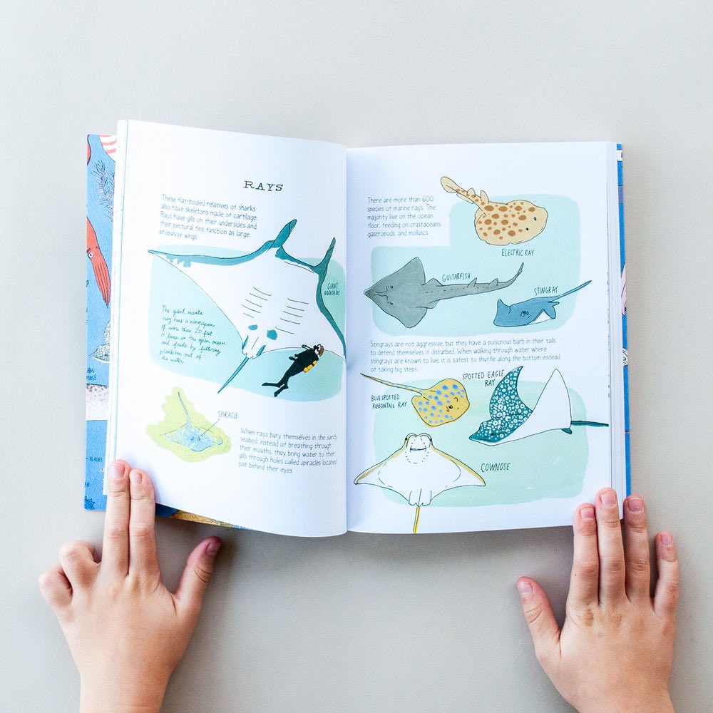 aqualuvsuotd's tweet photo. ☆ marine bio book recommendation !

for our first marine bio book rec, i’d like to suggest ocean anatomy by julia rothman ! i think it’s a great introductory book if you want to get into marine bio but don’t know where to start. it’s a wonderful mix between art and information ! https://t.co/e3omK5QqJB
