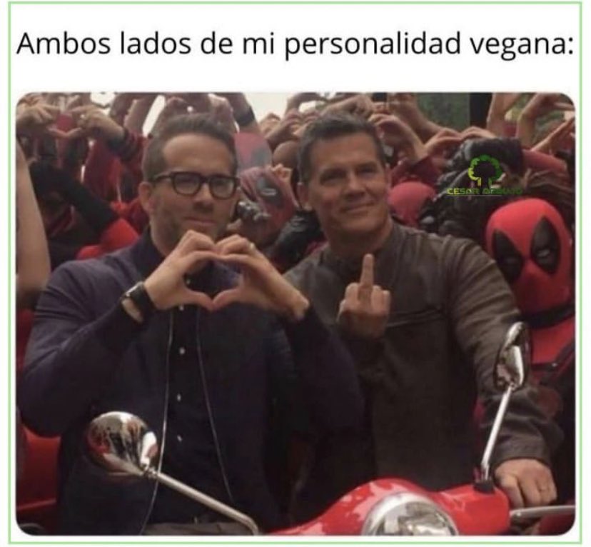 MaverickVegan's tweet photo. Soy antiespecista, no un ser de luz... 
#GoVeganMotherfuckers 🤘💜🌱 https://t.co/CdMwjrWccX