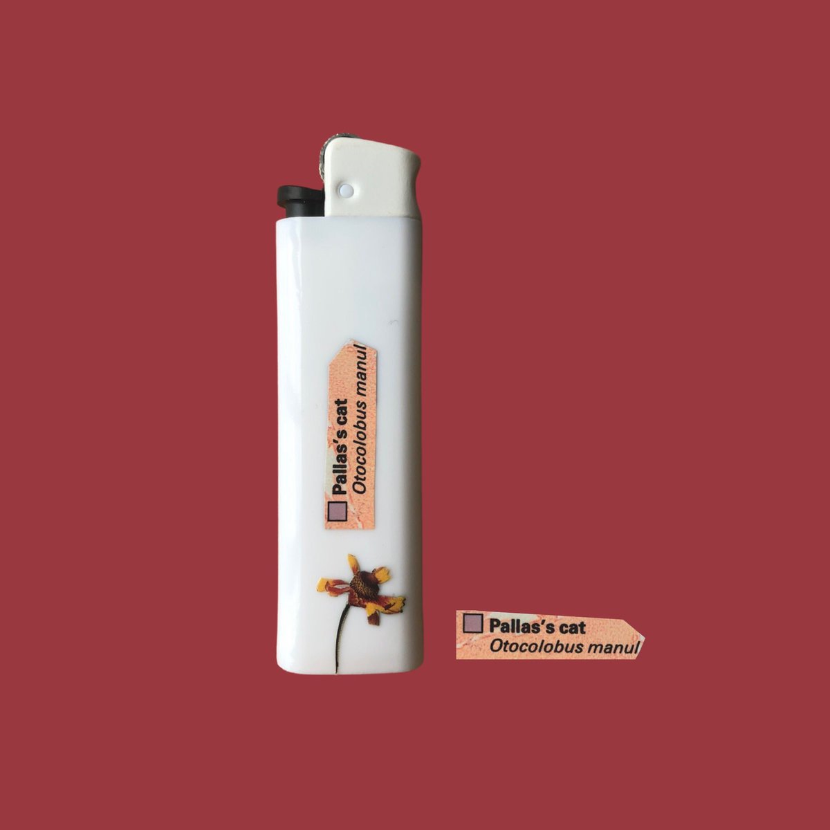 sneakonhold (@sneakarette) on Twitter photo 