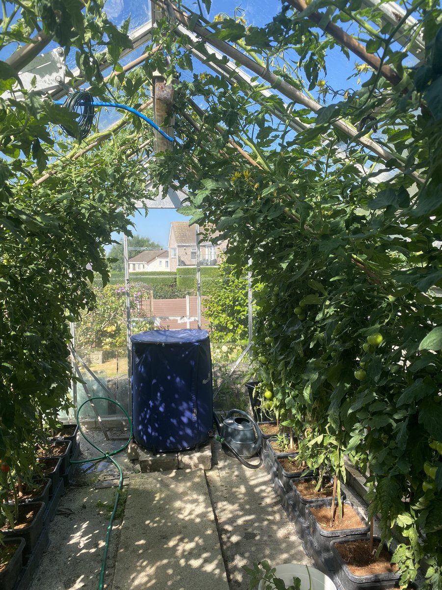 Medwyn Williams tweet media