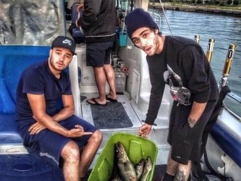 ziamcomfort's tweet photo. happy ziam date day https://t.co/vFAZ3p40QV