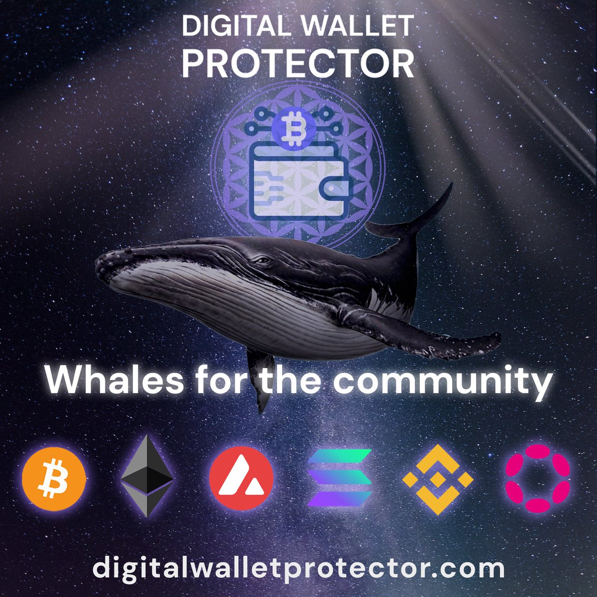 WalletProtector's tweet photo. Thread: 9 facts why every serious crypto investor or hodler should own DWP NFT!
#nft #walletprotector #blockchain #spirituality
1. Times we live in, are times of great changes and turmoil. Most of the usual mechanisms of functioning in our society have begun to disintegrate. https://t.co/JB6AleFIhD