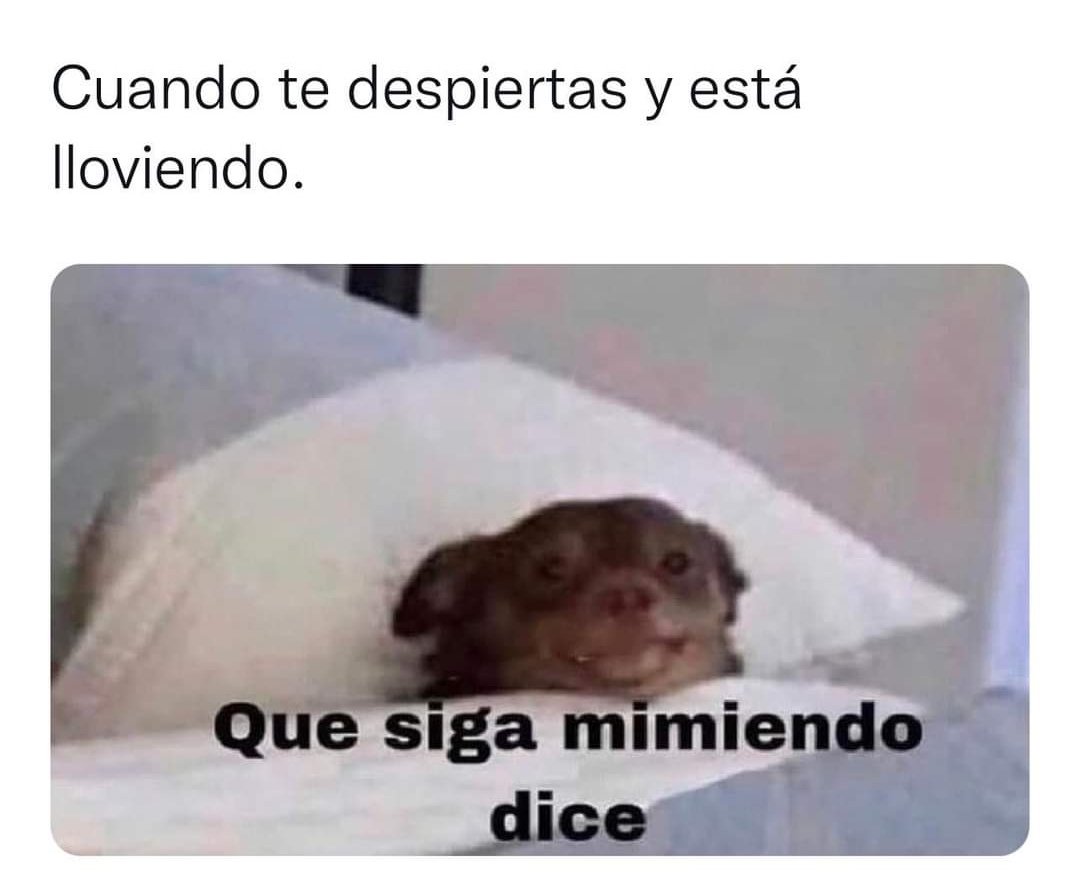 alessakura's tweet photo. #BuenosDias Dice...  😂😭😴☔ https://t.co/p4wL23LcBV