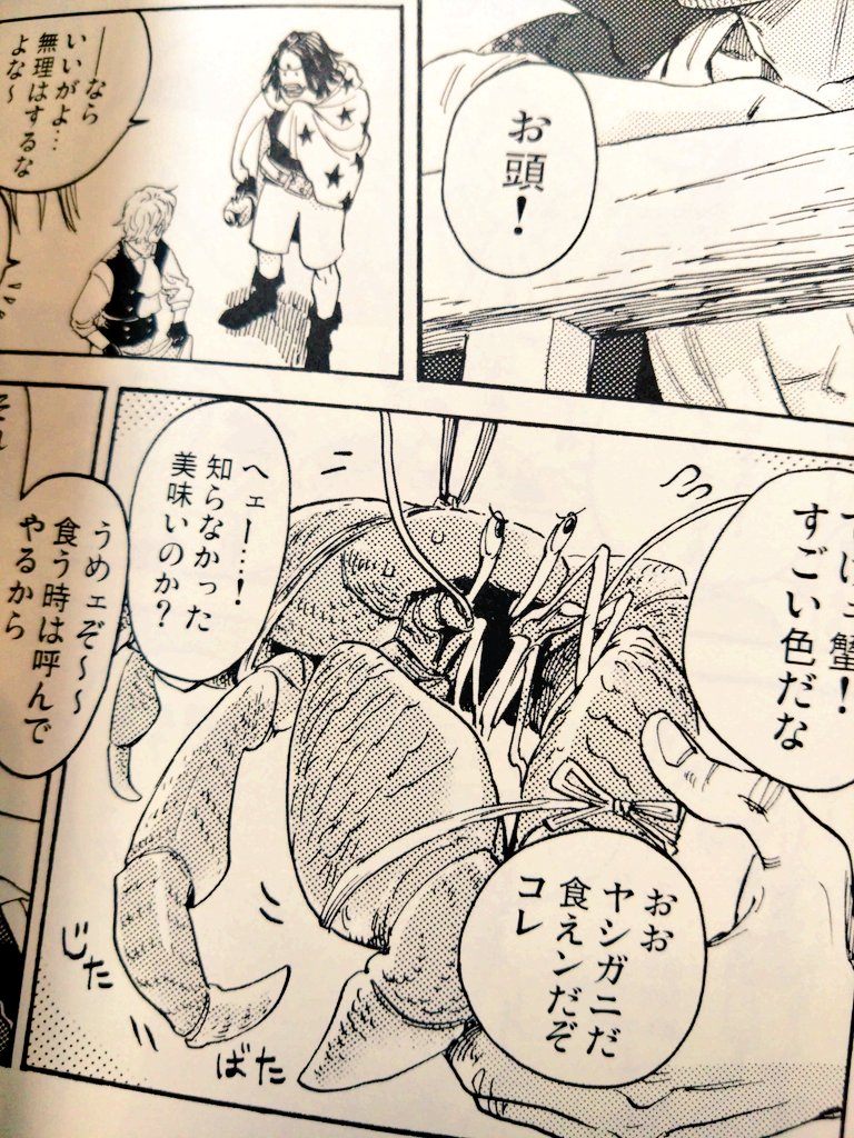 ついでにヤソップの解釈もかなりいい線いってるの思うのよ!☺️次からはそのまま食べさせますね✨🦀
とにかく喉から手が出るほど欲しかった赤髪海賊団の詳細、まじめに感謝してる…40億巻本当にありがとうございます!!🙏😂✨