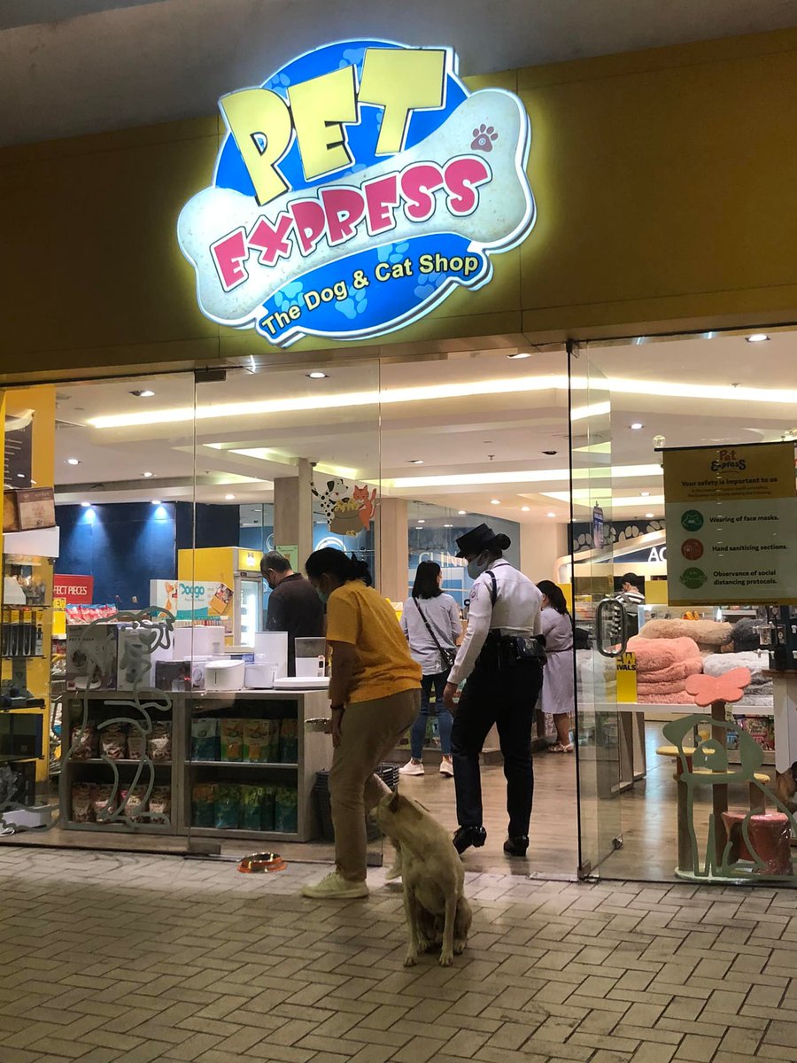 PhilippineStar's tweet photo. MEET MOA, THE WELCOMING DOG! 🐶🥺

This stray dog named MOA captured the hearts of shoppers, even netizens, as he enthusiastically welcomes the customers of a pet store at a mall in Pasay. (Photos courtesy of Julie Ann Bautista) https://t.co/2IVM2jauwp