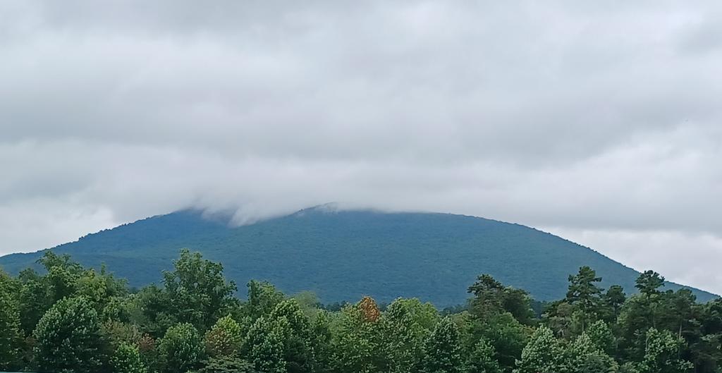 Yonder mountain is shrouded in mystery this morning.  #PilotMountain #YadkinValley