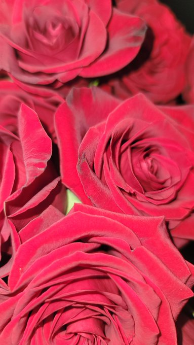 I bought myself flowers 💐  #selflove r https://t.co/Z6nTvUDXZk<a href="/tag/selflove"class="tags">#selflove</a>