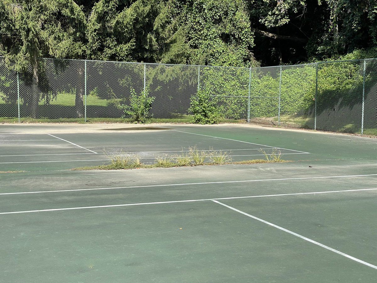 chrishertz's tweet photo. Hey @MontgomeryParks - Whittier Woods Local Park needs some TLC.  Playground and tennis courts getting overrun by weeds. https://t.co/IXTS0Wj7ly