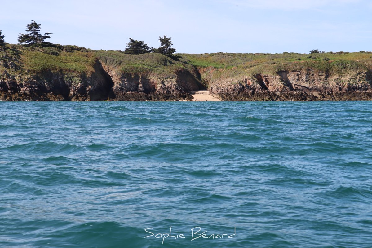 Sophie_b91's tweet photo. Beauté sauvage, beauté cachée, Houat et ses petites criques paradisiaques #houat #iledehouat #Bretagne #MagnifiqueBretagne #MagnifiqueFrance #morbihan #Brittany #photographer #photography #photo #landscape #ThePhotoHour #ephotozine https://t.co/SBUDshJYoJ