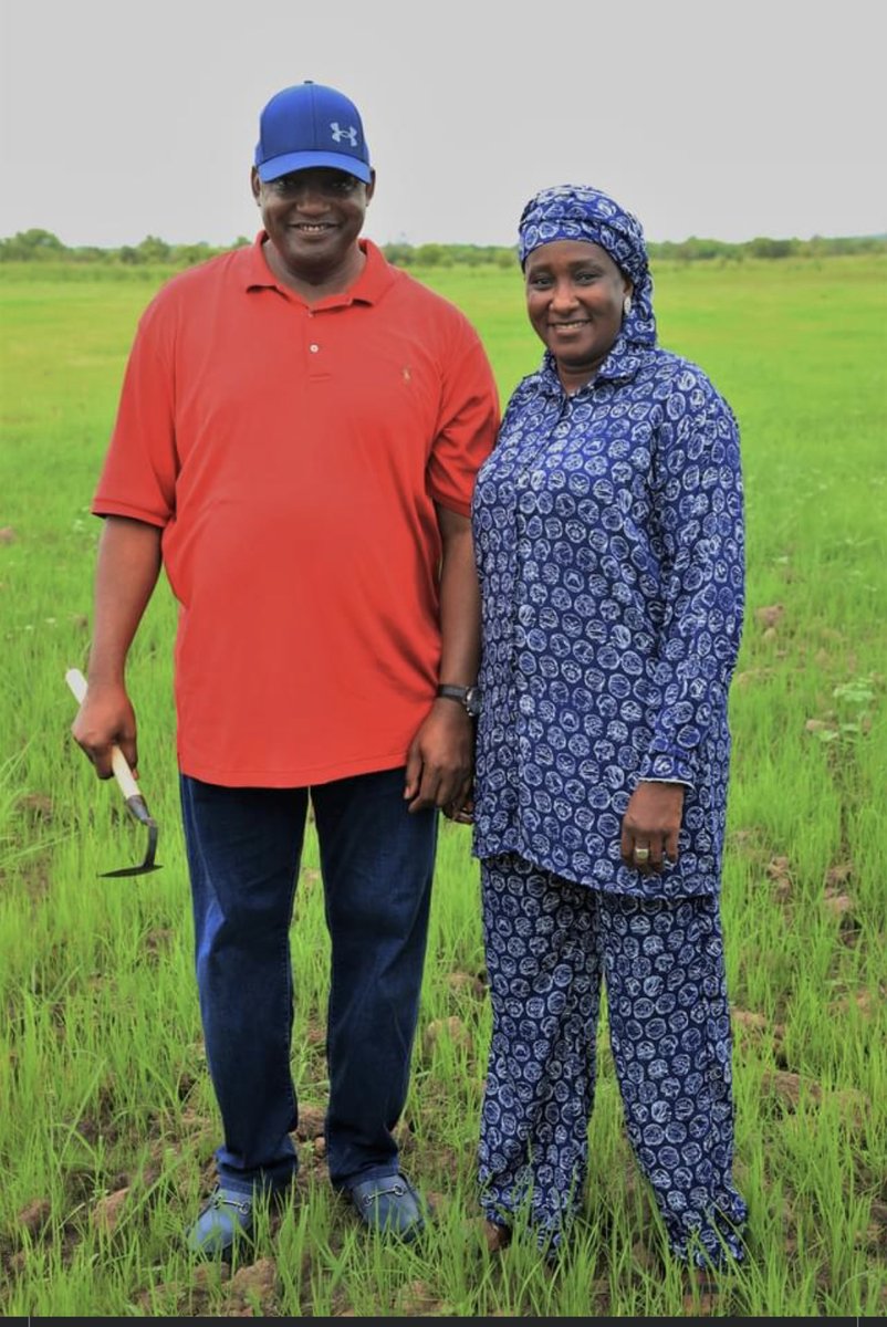 Oceesay's tweet photo. And just like that a meme is born...#farmchallenge
Thank you, @BarrowPresident for showing the nation how hard you work at your farm. Looking good with the madam. https://t.co/pT20xJsibB