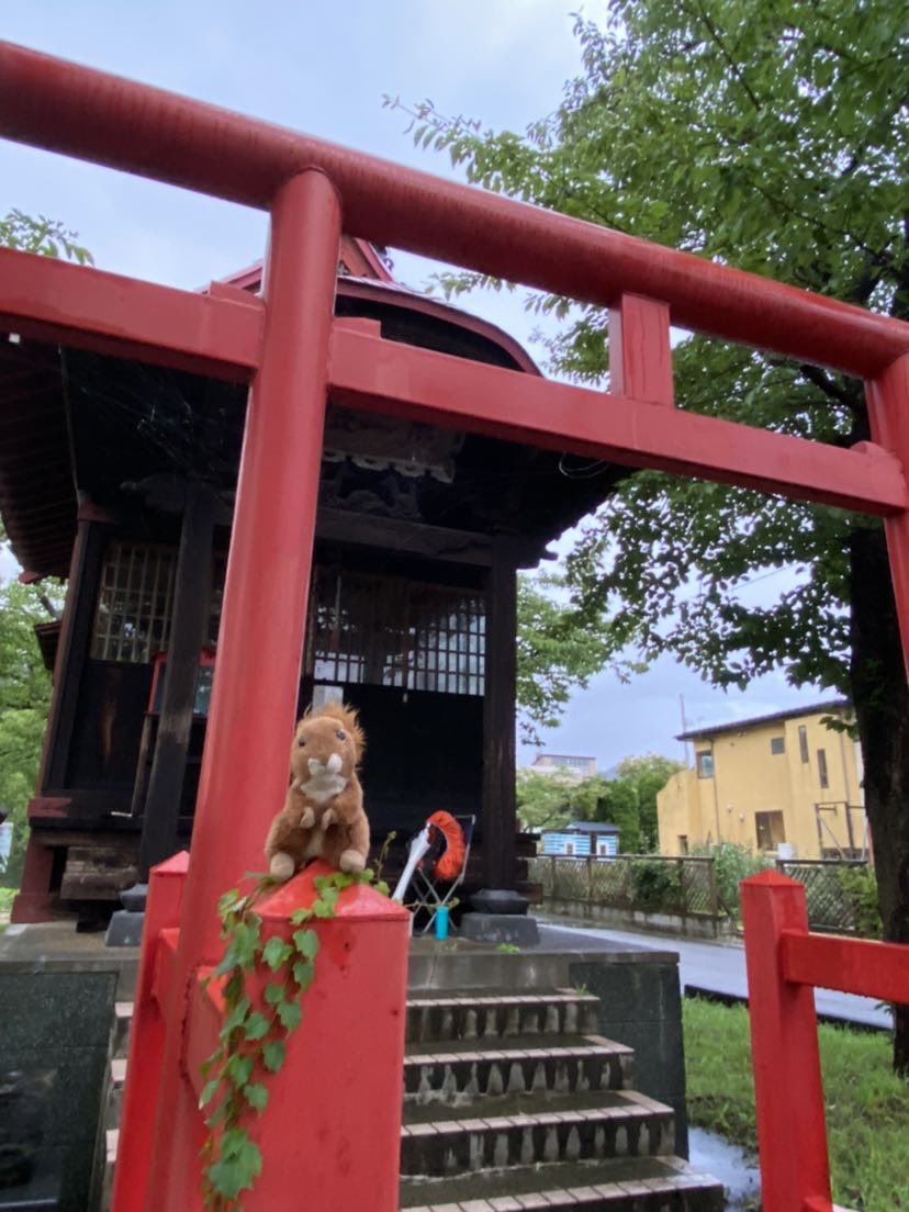RlsStratton's tweet photo. Update: Stephan has made it to Japan!! https://t.co/V9VOS38C6R