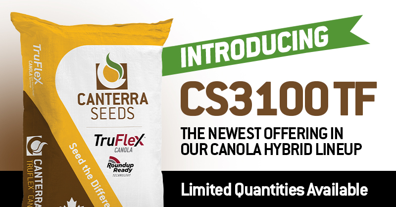 CS3100 TF* is our new high yielding, full maturity TruFlex™ Canola hybrid! Visit our website to learn more and find a trial near you this summer: hubs.la/Q01jQyz60. #TruFlexCanola #WCANAg *Registration pending.