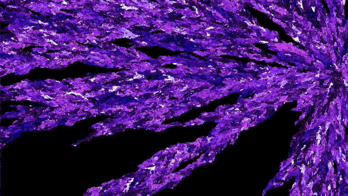 tronicapps's tweet image. The Pixel Expanse collection has now been listed on @objktcom 

Check it out here: objkt.com/collection/KT1…

#NFTCollection #tezos #art #abstractnft #objkt