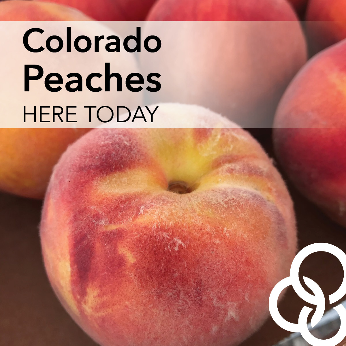 CO Peaches for this week (Aug 16) have arrived! Open at 11 per usual, but the truck it not quite set yet. Please stay clear of the coned area until the truck is in place. Hours are: Tues - Fri, 11 AM - 7 PM OR until sold out in the Scheels Home &amp; Hardware Parking Lot on 13th.