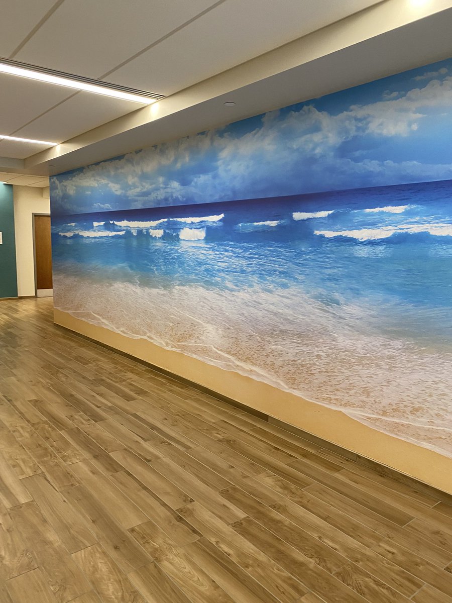 Shannon Dingle, M.A.Ed. tweet media