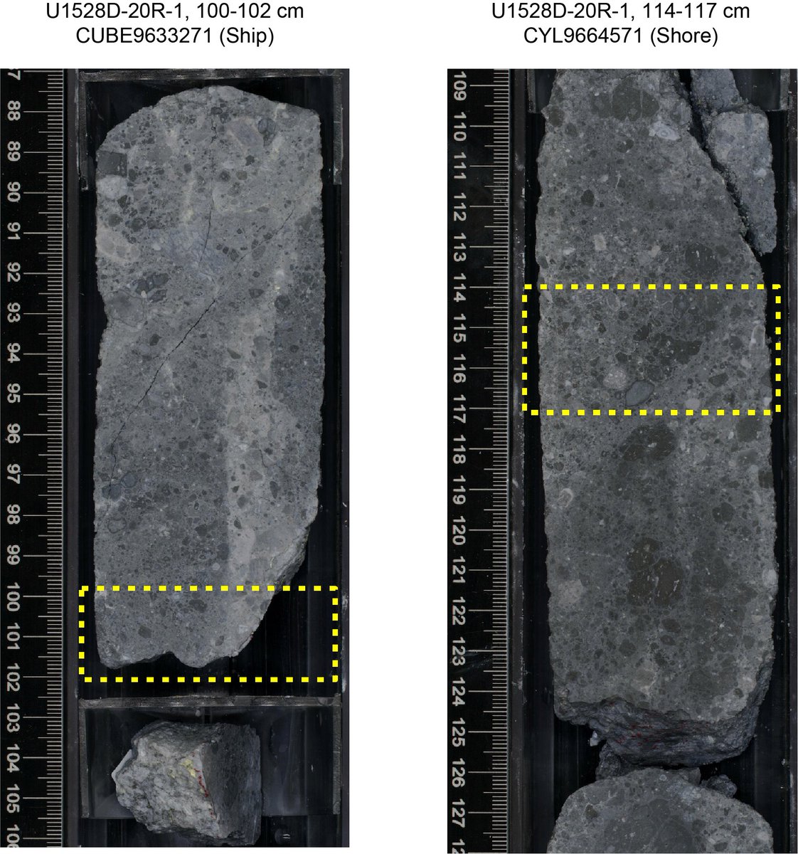 JRSO_IODP's tweet photo. 🚨New publication!🚨 Data report on in situ elastic properties of volcanic rocks by Ludmila Adam (@NZPoroLab) & Cécile Massiot was published 8/15/22 https://t.co/5W26D1y2A7 #JRSO #IODP #Exp376 #NSFfunded #Petrology #PhysProps #WomenInSTEM @TheJR @NSF https://t.co/enovdOxlYU