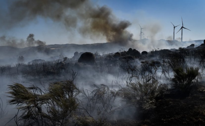 ndpnoticiaspt's tweet photo. #Incendies - Le Portugal est le pays d’Europe avec le plus de surface brûlée par les incendies. https://t.co/sbETjr1HiL