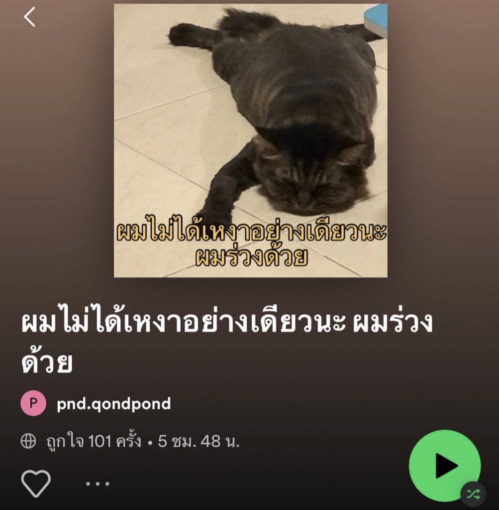 ไอเหี้ย อย่างชอบ55555555555555