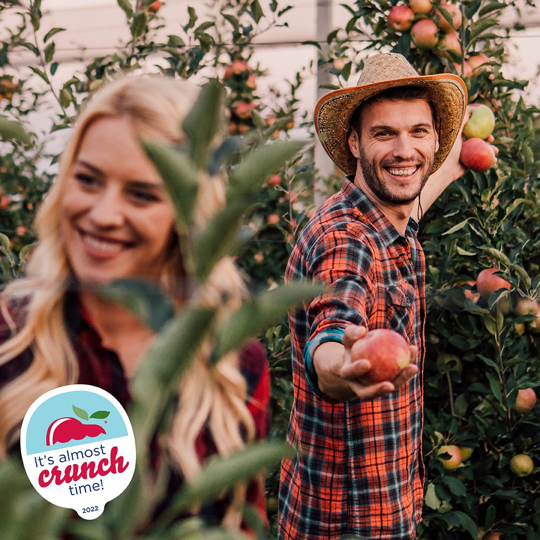 Michigan_Apples's tweet photo. Picking apples, enjoying donuts and cider, and taking in all the beauty of the trees together - #MIapple orchards make the perfect fall date spot! ❤🍎 https://t.co/NrIwkgjEcb