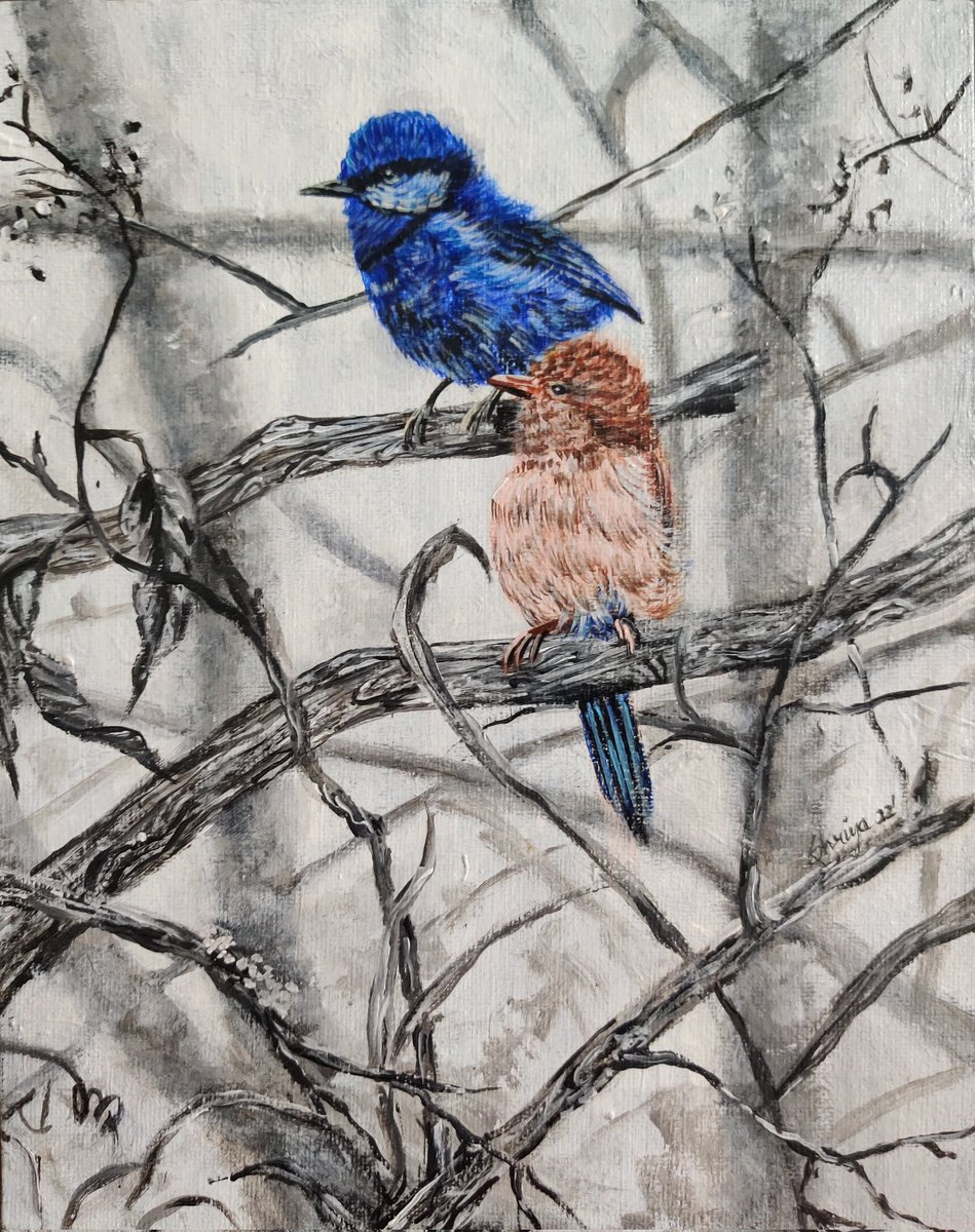 borkarshriya's tweet photo. A small and quick painting before I move onto bigger projects!

#smallpainting #birds #acrylicpainting https://t.co/hWdNGLne1q