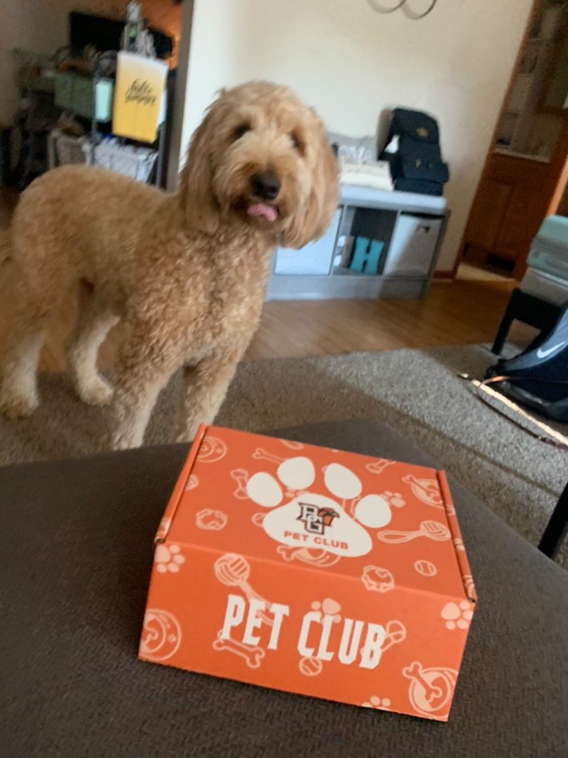 BGPetClub's tweet photo. Please welcome a happy member to the BG Pet Club Ryli! https://t.co/z9y18eT0Rm