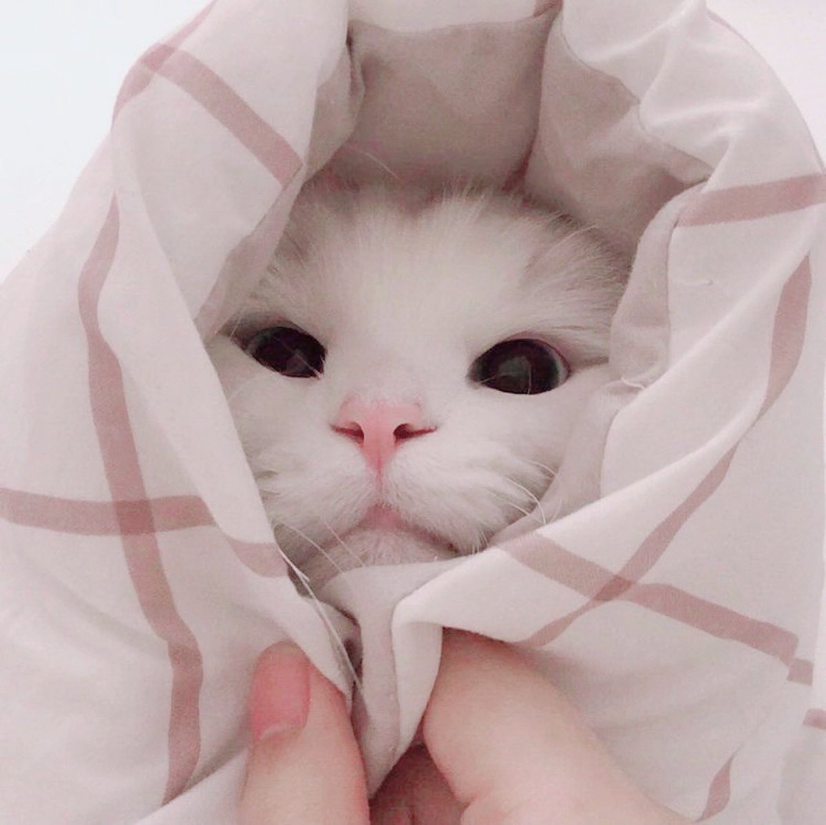 น้องบิวผ้าอ้อม🤲🏻🍼