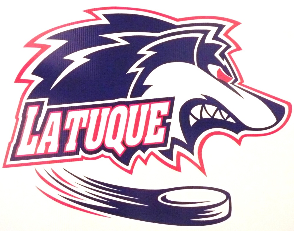 lechodelatuque's tweet photo. Les Loups signent avec deux gardiens https://t.co/tkFjmx3K0L https://t.co/yVLNSmwyUu