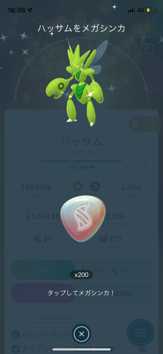 ポケモンgo メガハッサムの色違い 入手方法と実装状況 攻略大百科