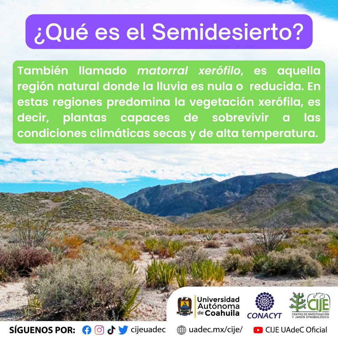 CIJEUAdeC's tweet photo. Buenos días! ☀️ Le presentamos el dato científico de la semana 🏜 El semidesierto es nuestra casa ¿Ya lo sabía? 🤔 Cuéntenos 🔊

Lo invitamos a seguirnos por redes sociales 🔔 #CIJE #UAdeC #CONACYT #Viesca #Coahuila #México #Agrobiotecnología #Semidesierto #Ciencia https://t.co/l46Df0JWT5
