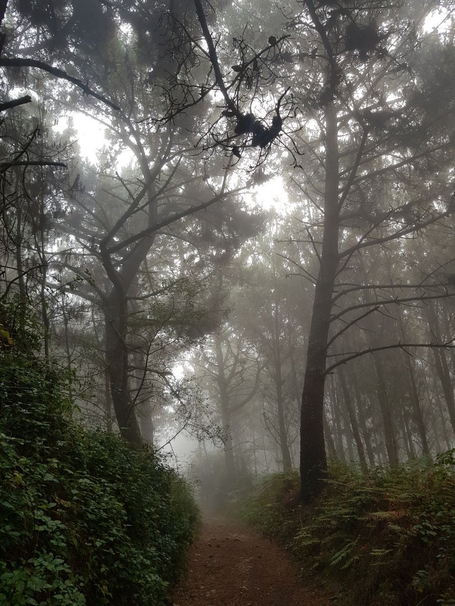 Noites místicas no Monte Neme.
(Andaina da Lúa de Agosto e observación das Perseidas 2022)

#monteneme #haioutromonteneme
