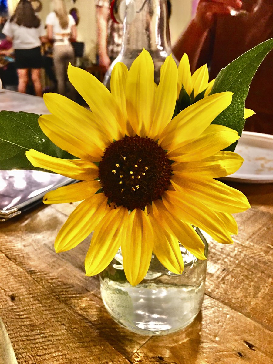 “The result of a truly conscious life is joy.” As humans, we look for joy in escape, in numbness, in distraction, but it can only be found in being conscious, aware, in each moment. Let yourself be in each moment today!