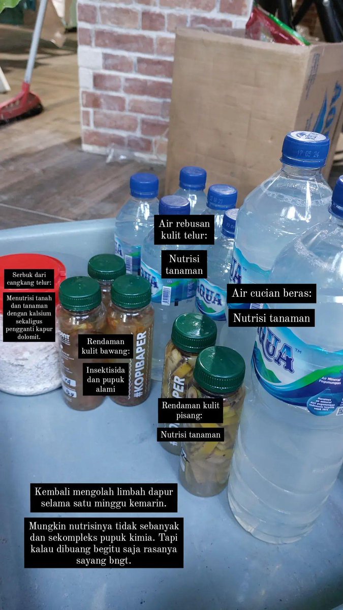 GelarPrakosa's tweet photo. Sekalian infoin nutrisi apa saja yg kukasih k tanemanku ya. Jadi semua ini dibuat dari limbah dapur. https://t.co/6qIyaTgG0g