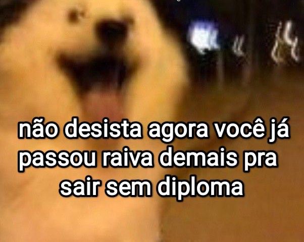 euovitinn's tweet photo. fatos https://t.co/gxpUbiunlU