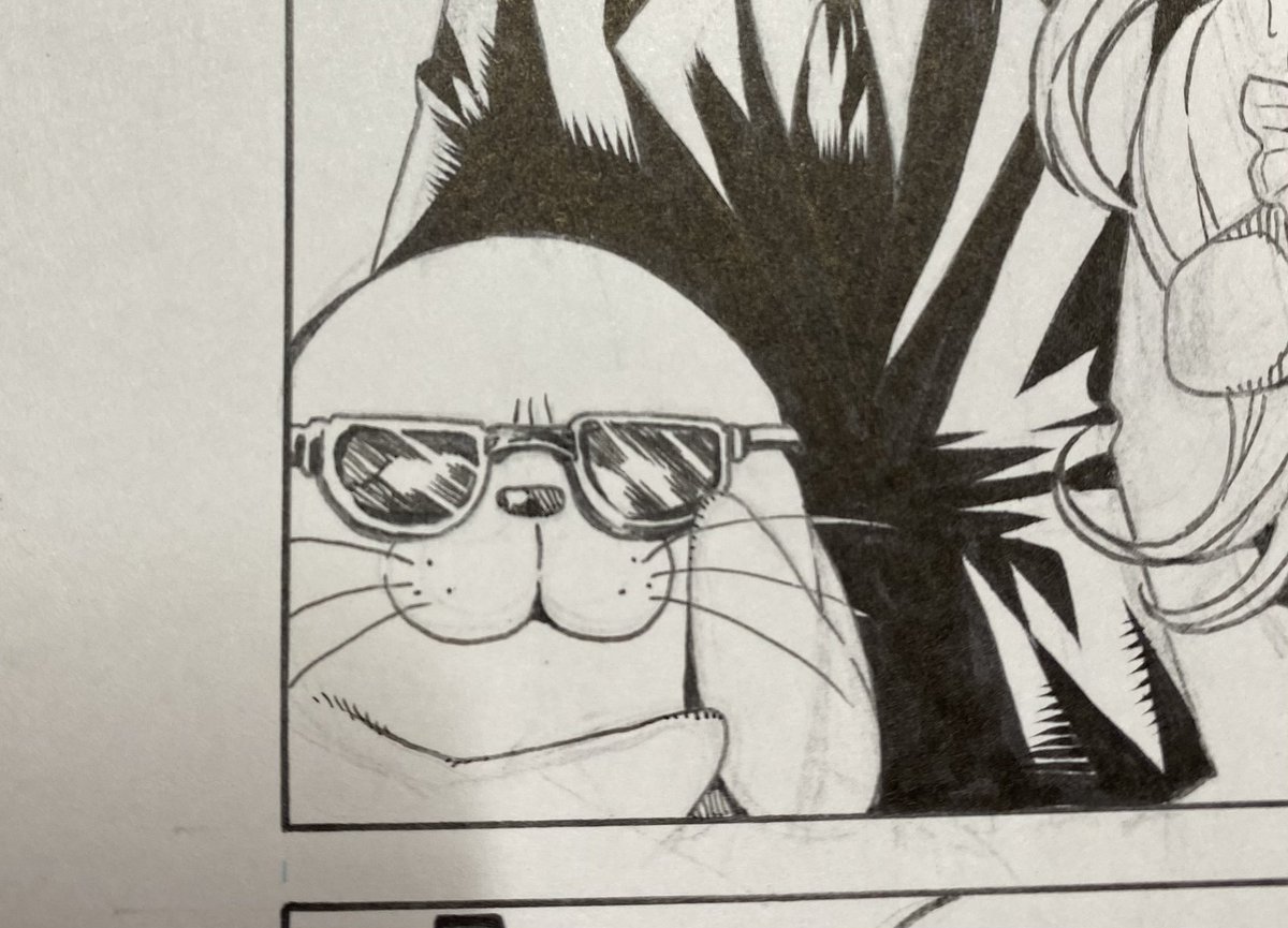 アザラシを信仰せよ( 🕶っ)З 