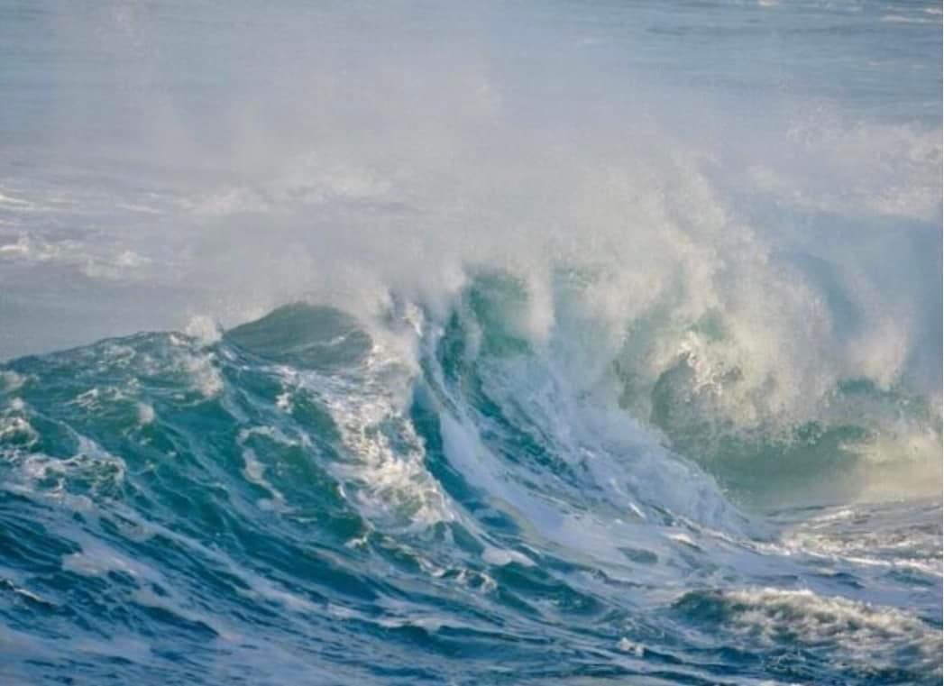 LisaWellerArt's tweet photo. Take part in a live painting class in the comfort of your own living space this September...
https://t.co/pA2g6BfOlk
#septemberliveclass #artlessonsforbeginners #booknow #artlessonsonline #artclass #arttutorial #learntopaint #arttutor #seascapeart #livefromcaithness https://t.co/S2bTD20muV