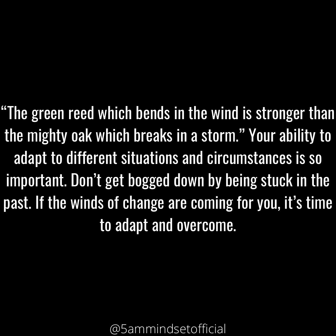 groundedstrength (@5ammindset) on Twitter photo 