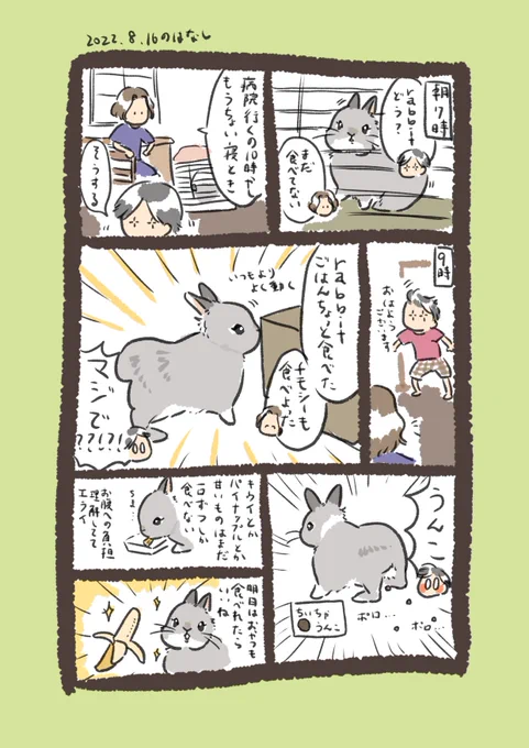 今日のrabbit…
#うさぎのいる生活 