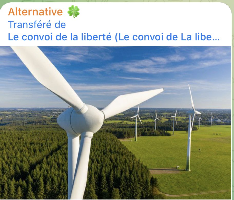 saoukonet's tweet photo. ➖ En Ecosse, ils ont abattu 14 millions d'arbres pour installer... des eoliennes. L'arbre ne rapport rien, mais l'eolienne est une pompe a subventions entre copains.😤 https://t.co/5Hjpx9bgy8