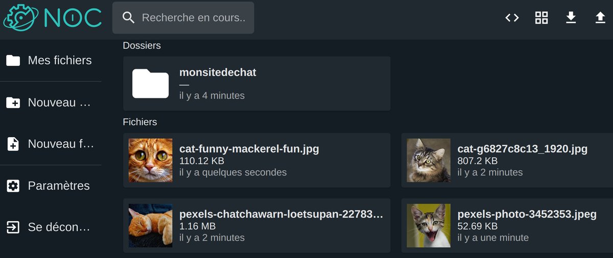 PlanethosterGab's tweet image. On travaille fort sur de nouvelles fonctionnalités 👀
- Éditeur de code intégré
- Gestion des archives
- Terminal SSH intégré
- Rapidité
- 🐱
- et bien plus de 😺

#PlanetHoster