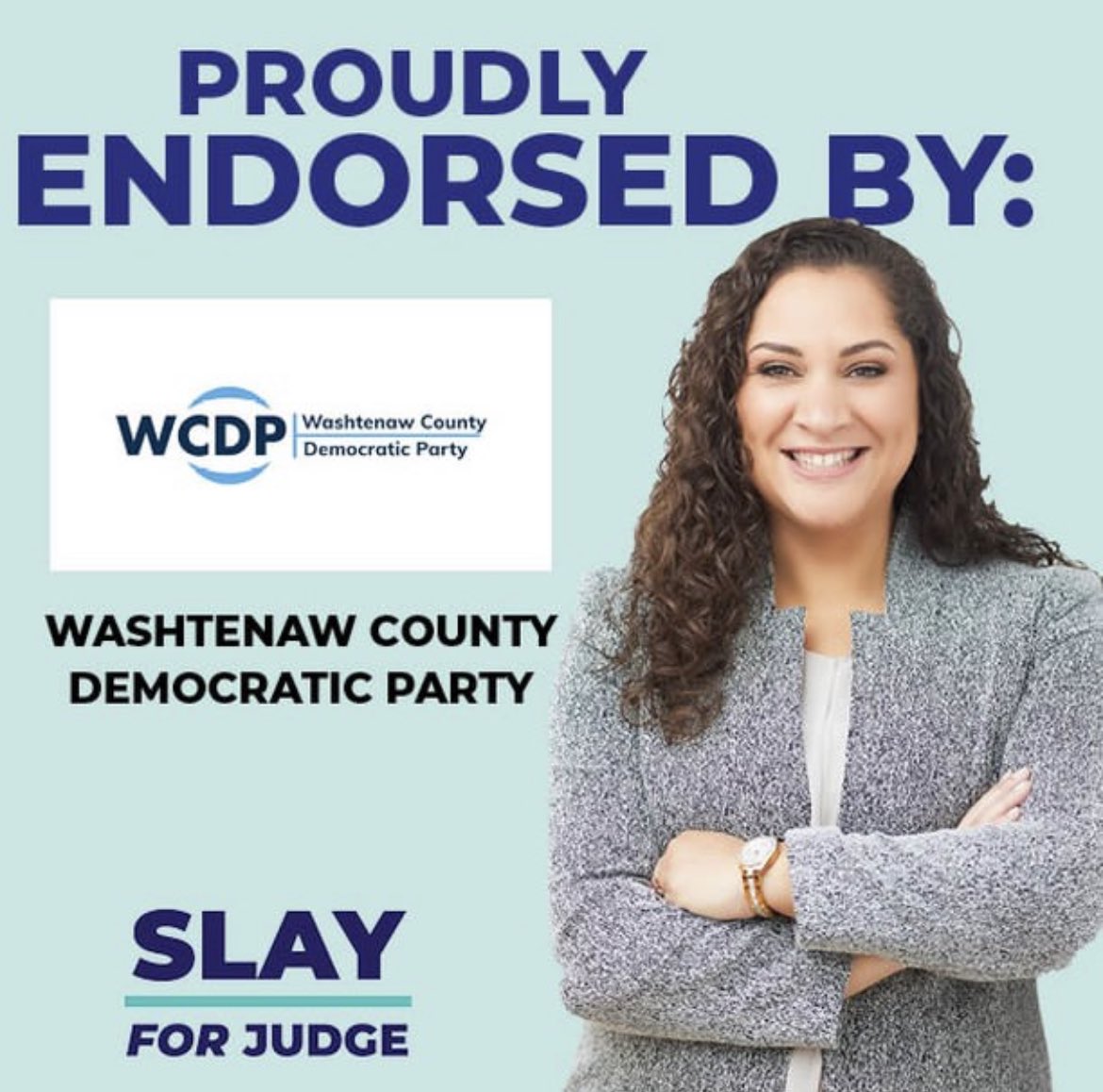 SlayforJudge's tweet photo. Honored to have the endorsement of the @WashtenawDems! https://t.co/xz5kcqTqs6