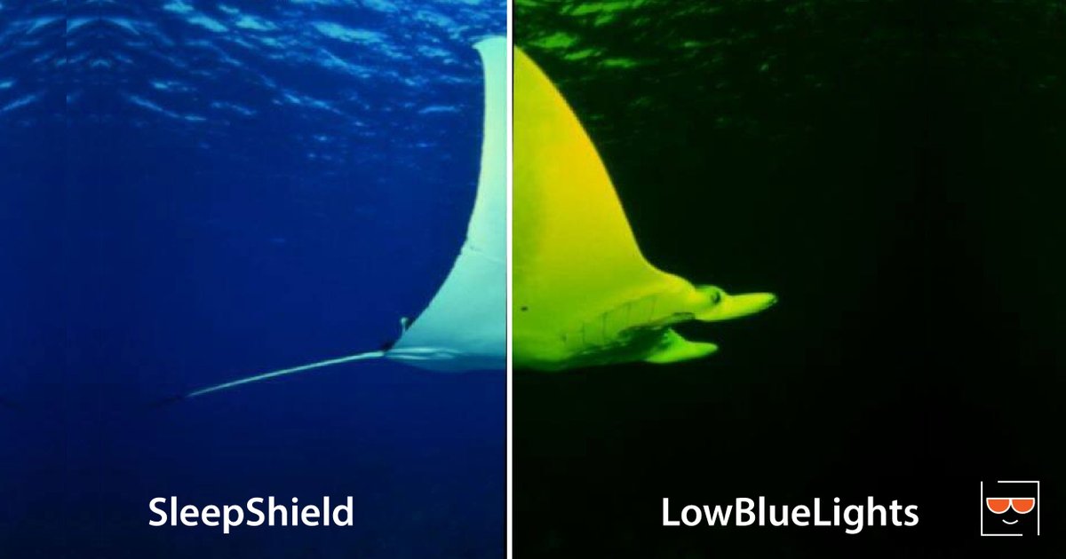 LowBlueLights's tweet photo. This shows the vast difference in blue light emitted from companies such as SleepShield vs. LowBlueLights 100% blue-blocking screen filters. 

See the difference for yourself. Try LowBlueLights Today at https://t.co/vXfbkCCChV https://t.co/fYW7wxq14H