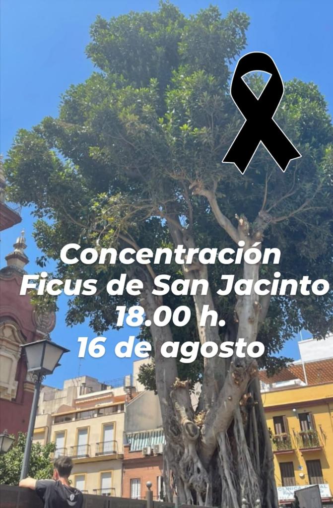 salvatusarboles's tweet photo. Nos llega esto.

Aún está en pie.

Hay gente gritando.

Aún hay tiempo. https://t.co/Z7mjtHbTx9