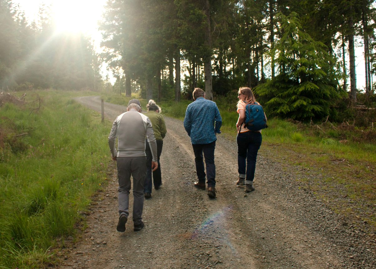 Book now: 'Kielder Art Trail Walking Tour' 🌿 - mailchi.mp/502d3af023ac/a… Image: Hayden Goodfellow #art #outdoorart #exhibition #kielderforest #northumberland